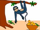 monkey in a tree